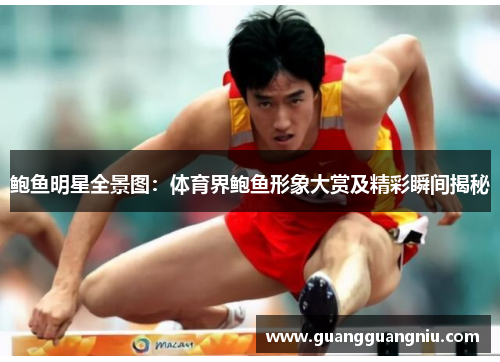 鲍鱼明星全景图：体育界鲍鱼形象大赏及精彩瞬间揭秘