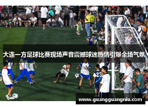 大连一方足球比赛现场声音震撼球迷热情引爆全场气氛