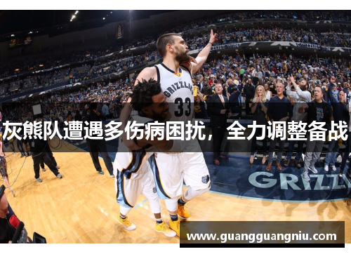 灰熊队遭遇多伤病困扰，全力调整备战