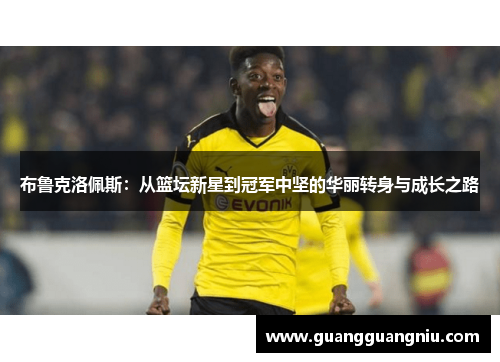 布鲁克洛佩斯：从篮坛新星到冠军中坚的华丽转身与成长之路