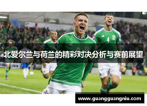 北爱尔兰与荷兰的精彩对决分析与赛前展望